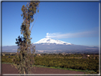 foto Pendici dell'Etna